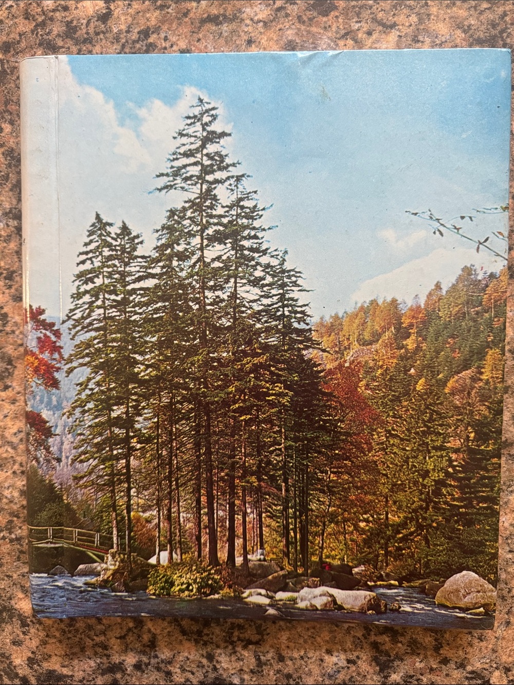 Vtg 70-80 photo albumScenic Forest photo album